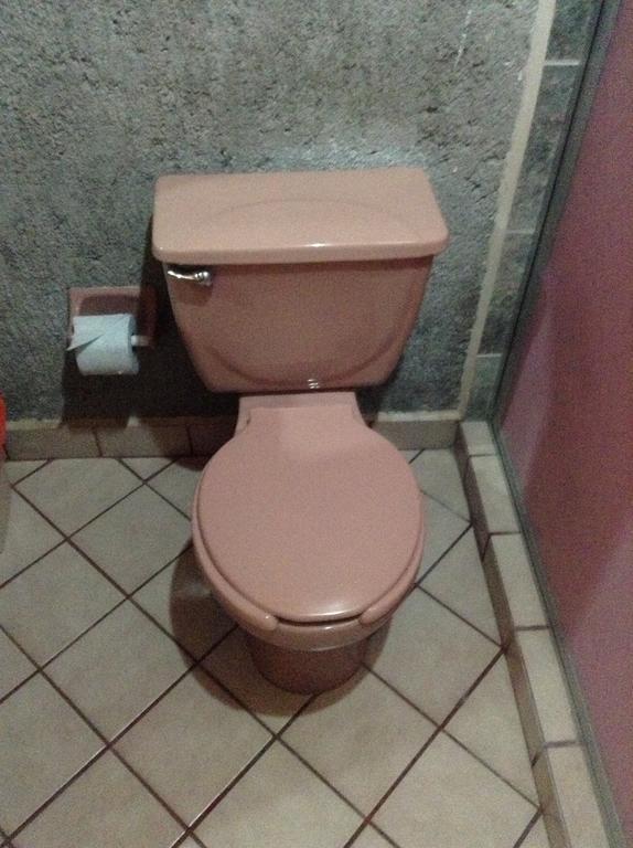 Hotel La Herradura Tecozautla Værelse billede